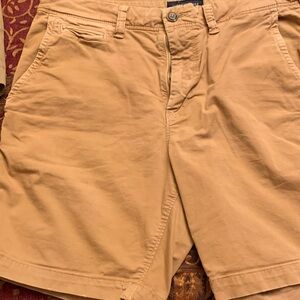 American Eagle By Payless Men's Brown Flat Front Shorts